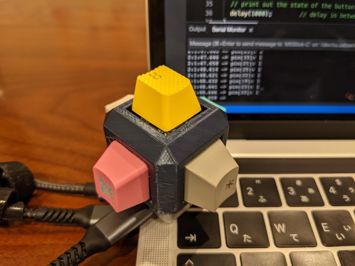 f:id:Umbellata:20211228001625j:plain