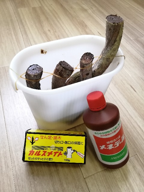 f:id:UmeMere:20210601171855j:image f:id:UmeMere:20210601171855j:image