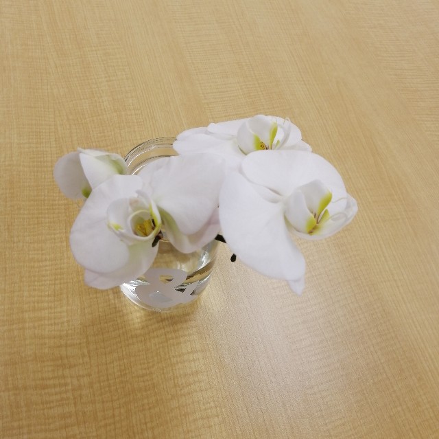 f:id:UmeMere:20210601175154j:image