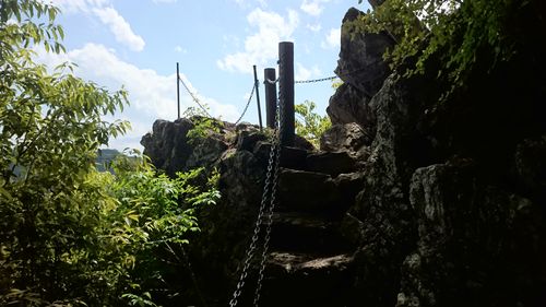 天覧山