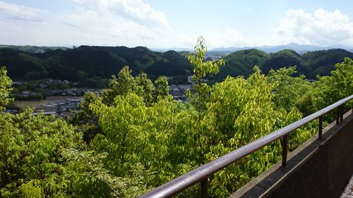 天覧山