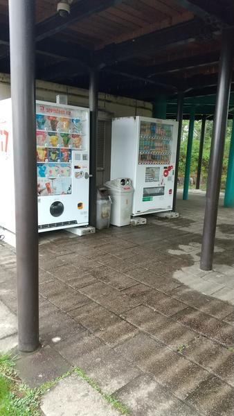 f:id:Umeko28:20220415052903j:plain