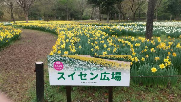 f:id:Umeko28:20220415060602j:plain