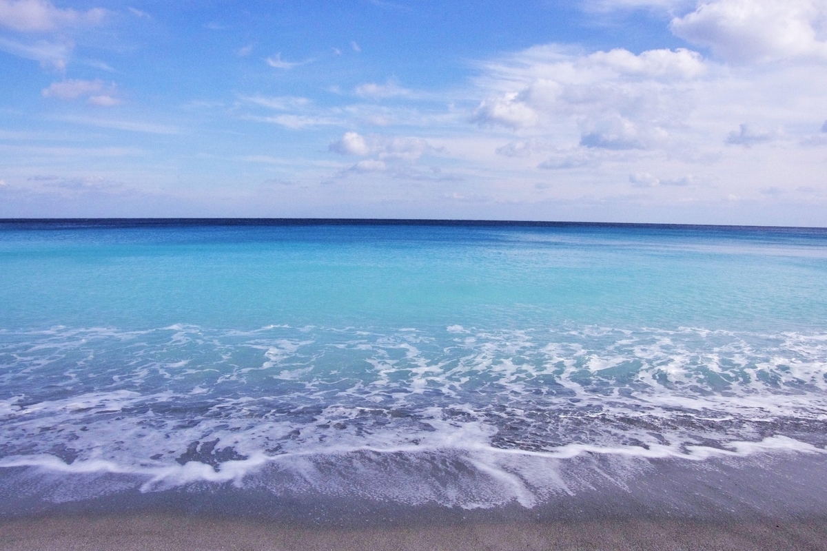 f:id:Umigarasu:20200423215426j:plain f:id:Umigarasu:20200423215426j:plain