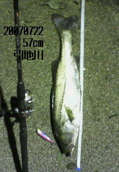 f:id:Umigarasu:20200503124547j:plain f:id:Umigarasu:20200503124547j:plain