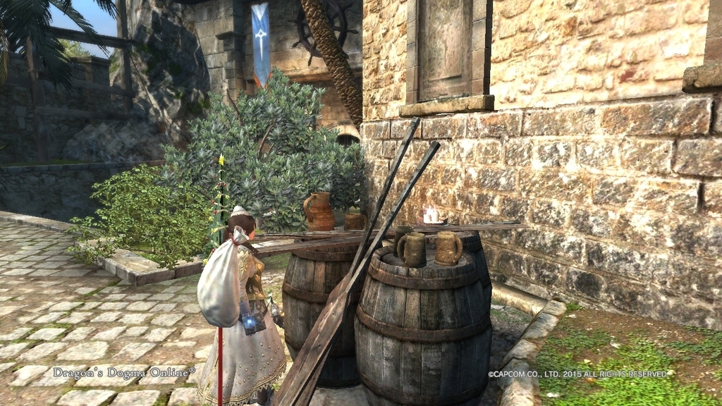 Ddon 黒呪の島のアップデートで追加されたmapにいたのは行方不明のレオ Umikaiakariのほっとひと息 Ddon 黒呪の島のアップデートで追加されたmapにいたのは行方不明のレオ Umikaiakariのほっとひと息