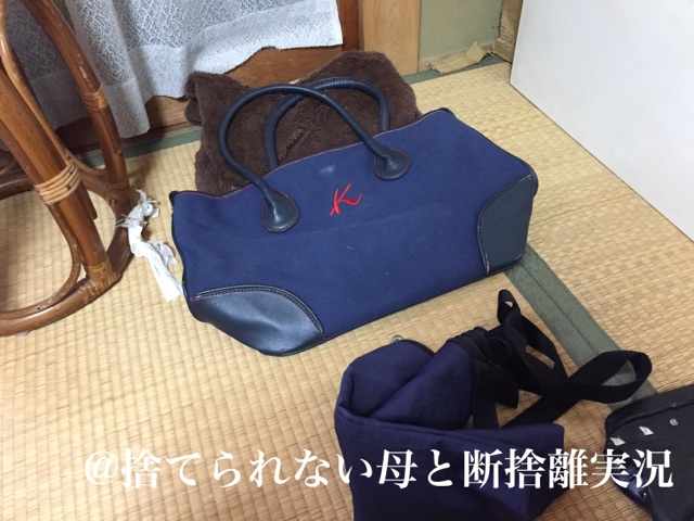 汚部屋掃除バッグ