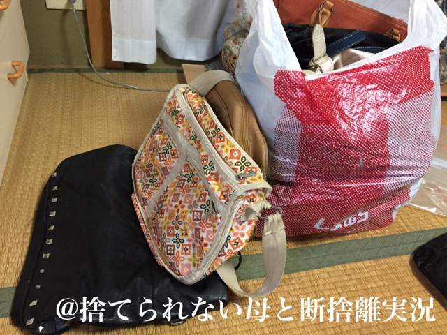 汚部屋片付けバッグ