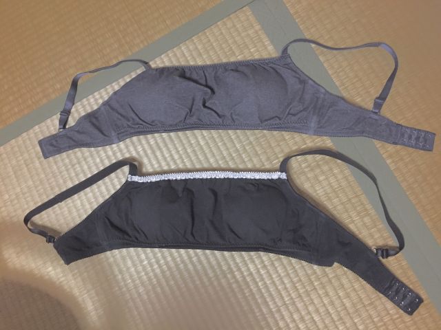 犬印ちら見え防止ブラジャーおすすめ！