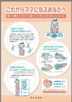 厚生省妊娠食事
