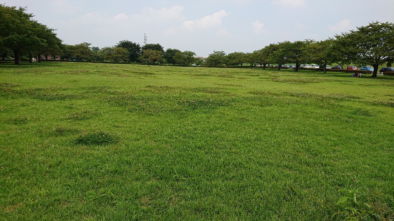 f:id:UncleAlbert:20200816031628j:image