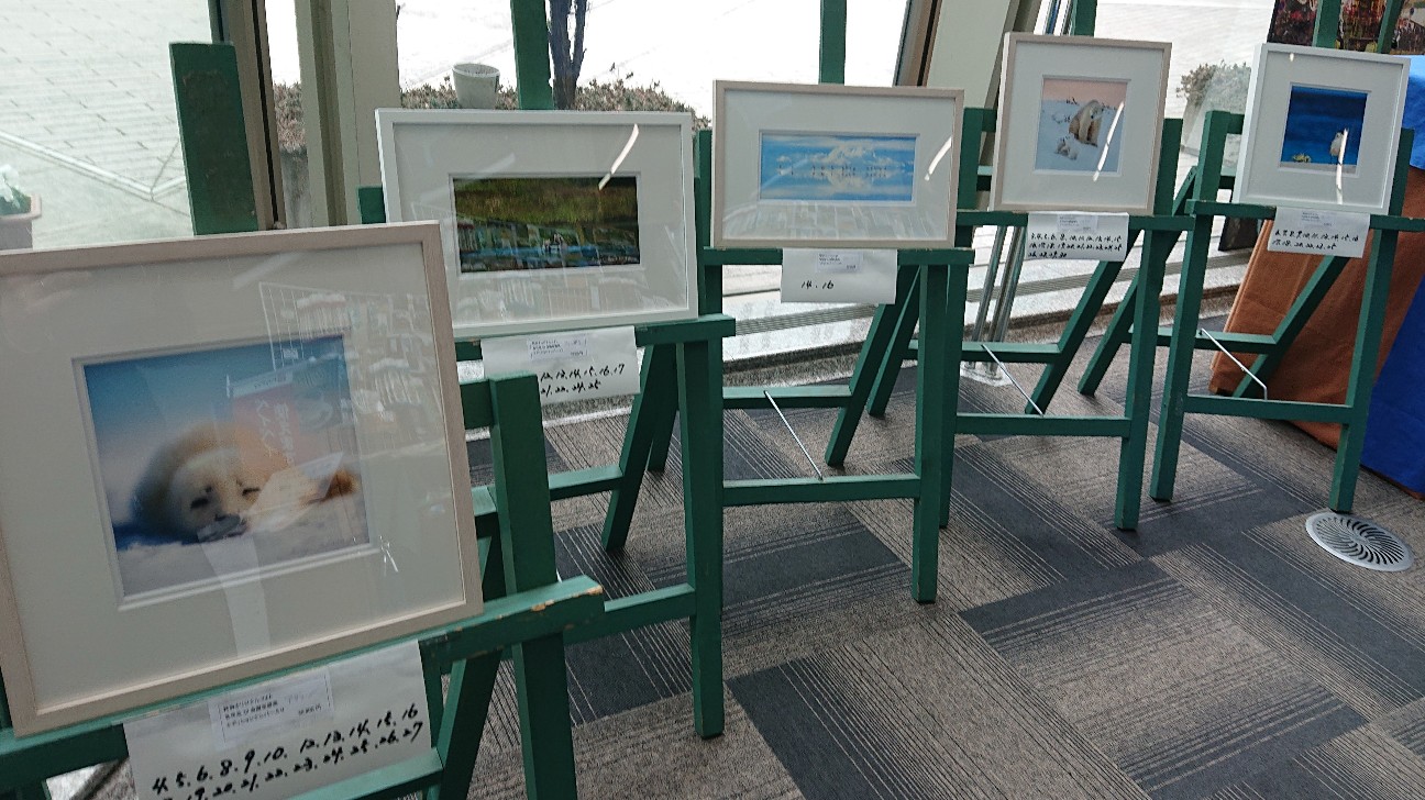 しもだて美術館「高砂淳二写真展 Dear Earth」 - Hatena Blog版