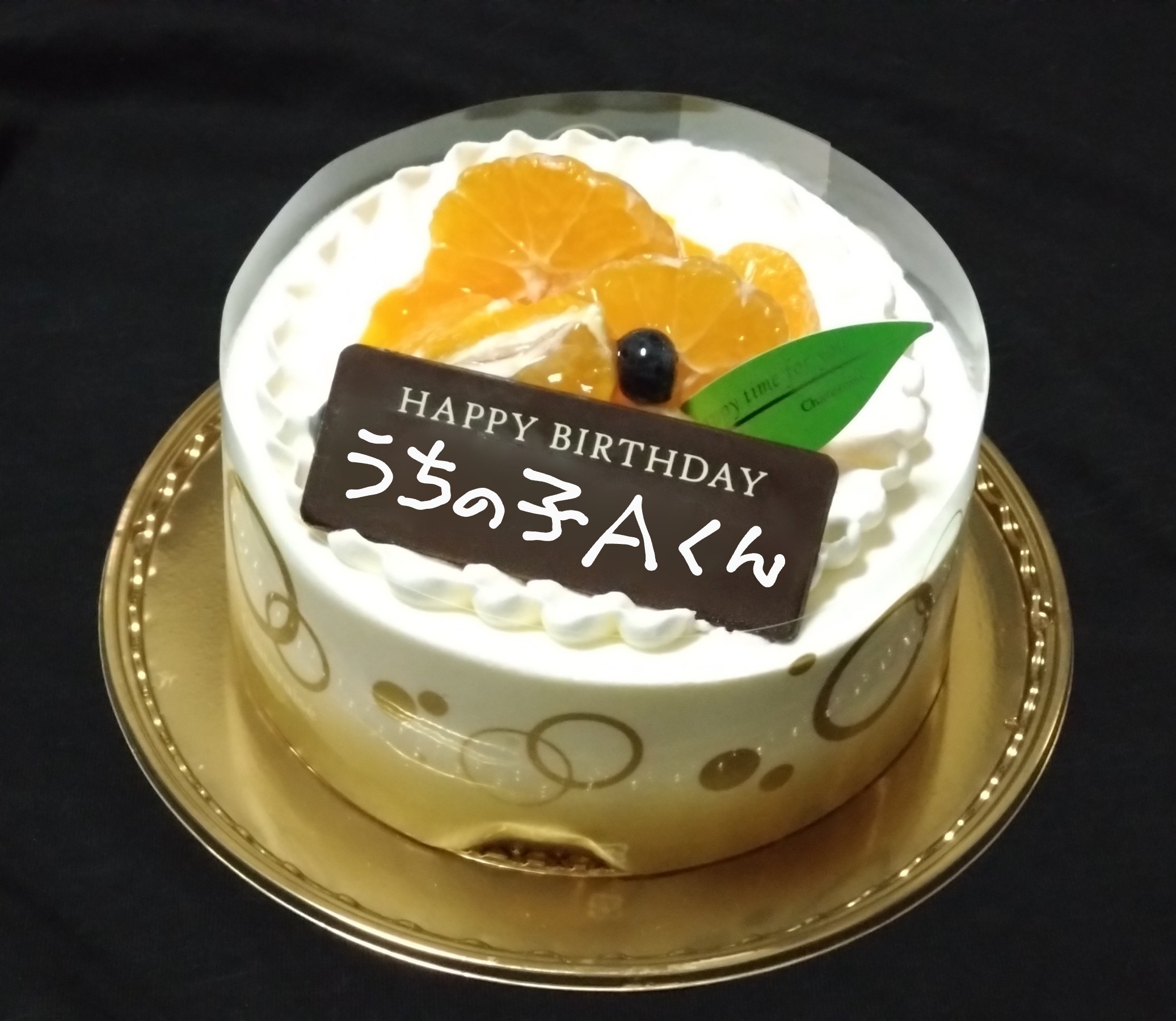 f:id:UncleAlbert:20250105130908j:image