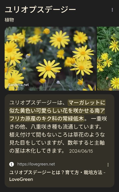 f:id:UncleAlbert:20250419142452j:image