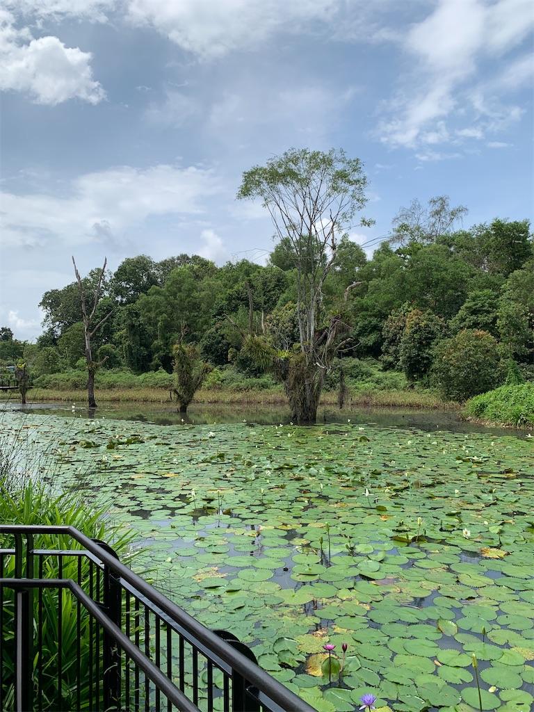 f:id:UnderRainTree:20201105224822j:image f:id:UnderRainTree:20201105224822j:image