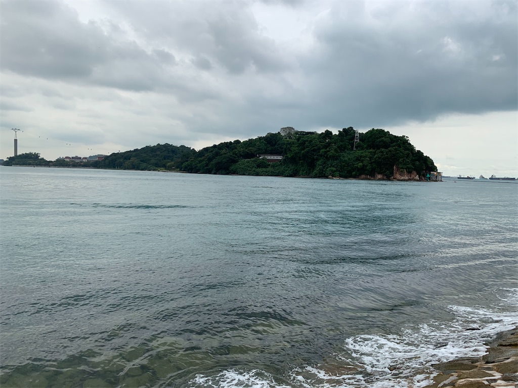 f:id:UnderRainTree:20201108180054j:image f:id:UnderRainTree:20201108180054j:image