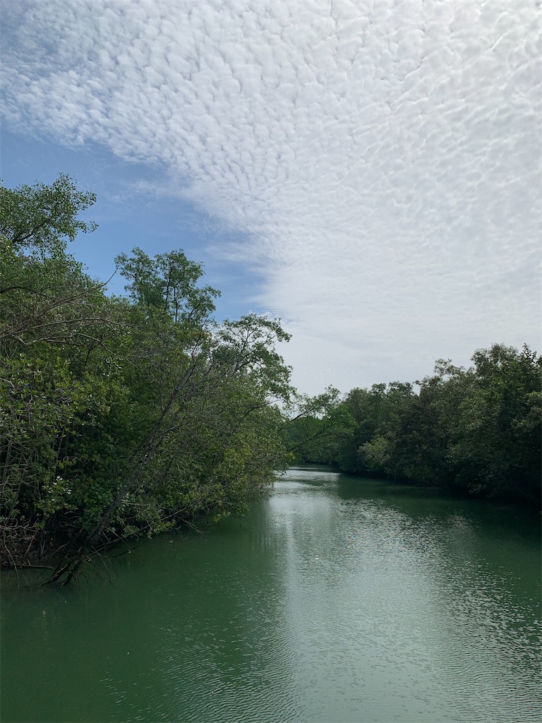 f:id:UnderRainTree:20210523181451j:image f:id:UnderRainTree:20210523181451j:image