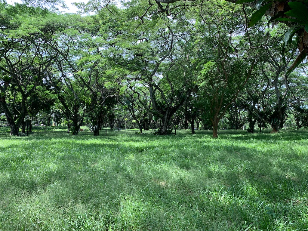 f:id:UnderRainTree:20210523181501j:image f:id:UnderRainTree:20210523181501j:image