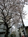 20100401074436