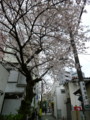 20100401074448