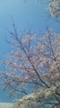 20100401123816