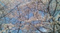 20100401123835