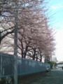 20100401124246