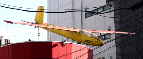 ⭐️2000年記念イヤーハングライダー ⭐️2000年記念イヤーハングライダー