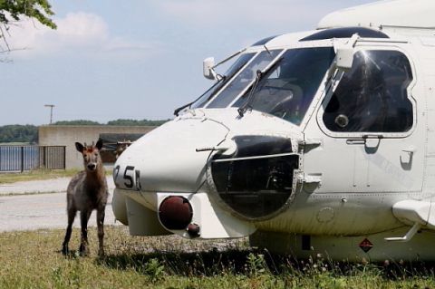 空海への道 せとうちSEAPLANES、中海で水陸両用機の遊覧飛行をプレオープン