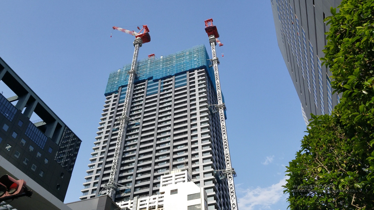 現地で撮影(2021年5月9日)