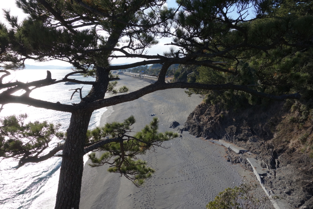 f:id:UrushiUshiru:20180309201946j:plain