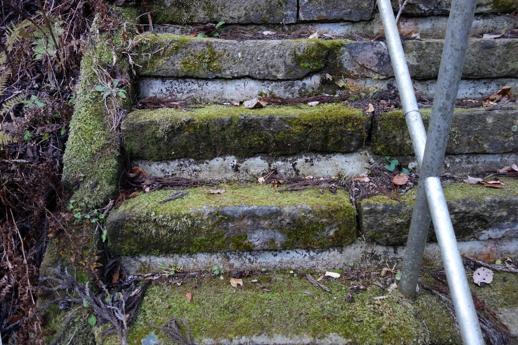 f:id:UrushiUshiru:20181221013109j:plain f:id:UrushiUshiru:20181221013109j:plain