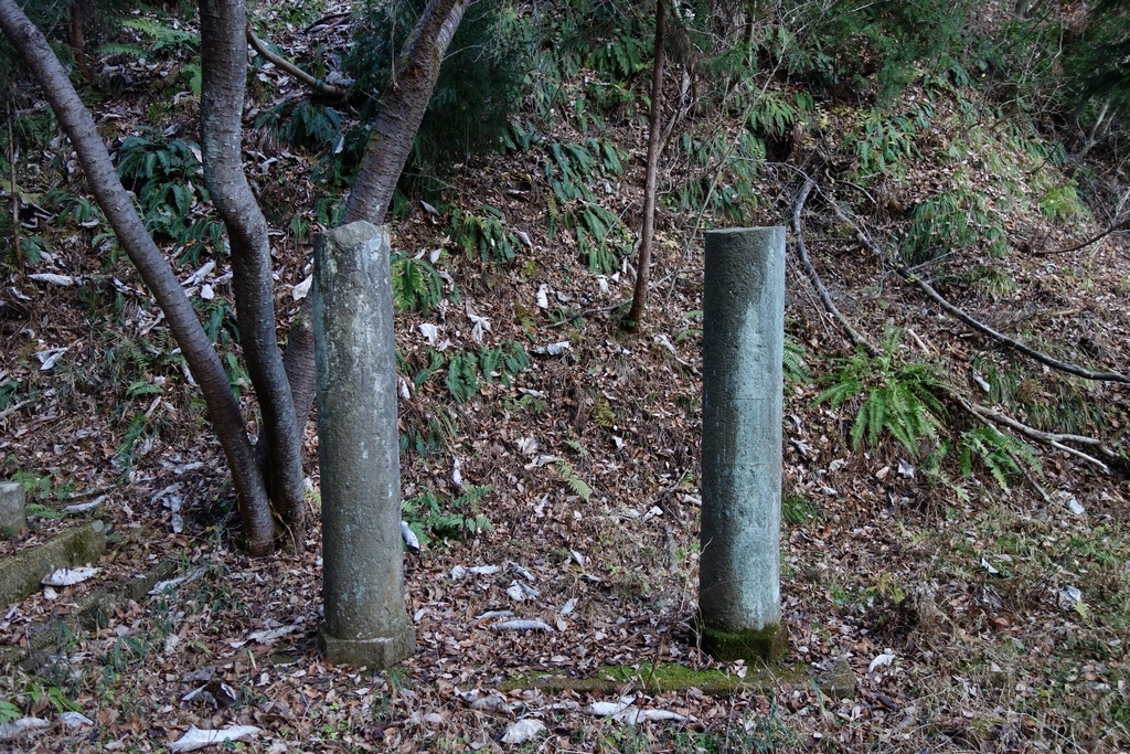 f:id:UrushiUshiru:20181221014113j:plain f:id:UrushiUshiru:20181221014113j:plain