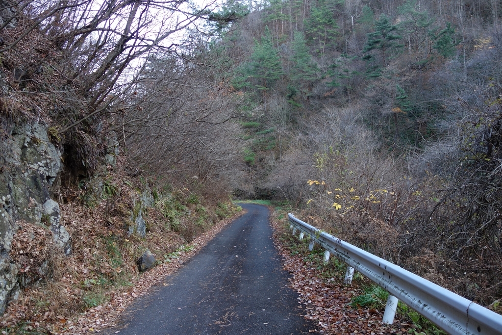 f:id:UrushiUshiru:20181221014232j:plain f:id:UrushiUshiru:20181221014232j:plain