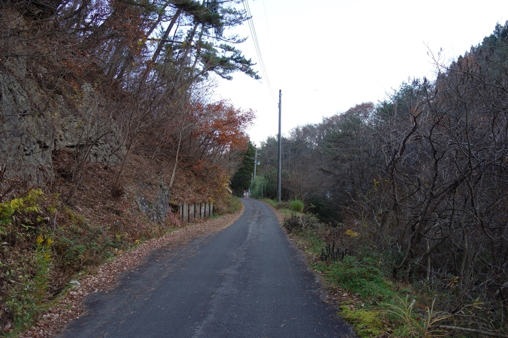 f:id:UrushiUshiru:20181221014513j:plain f:id:UrushiUshiru:20181221014513j:plain