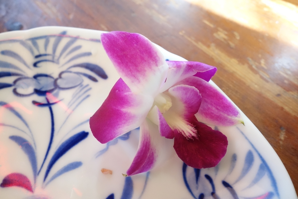 f:id:UrushiUshiru:20190117020937j:plain