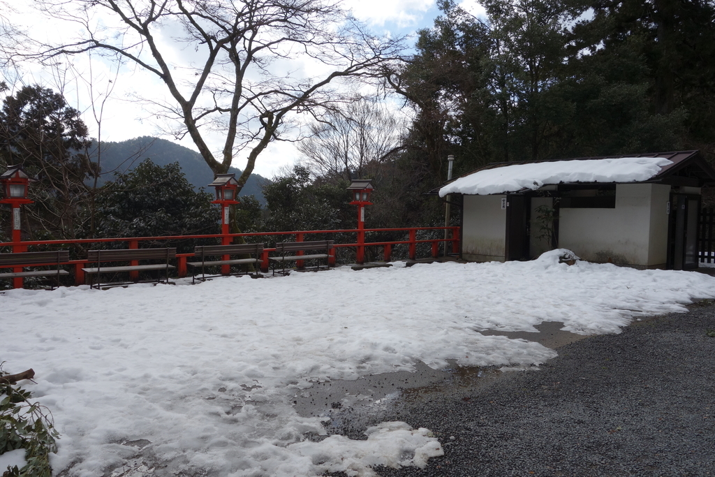 f:id:UrushiUshiru:20190127014915j:plain