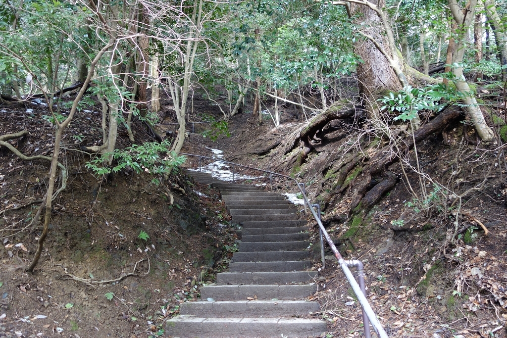 f:id:UrushiUshiru:20190127015535j:plain