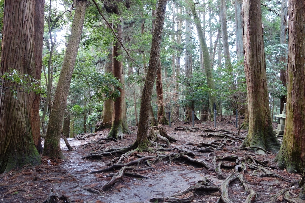 f:id:UrushiUshiru:20190127015746j:plain