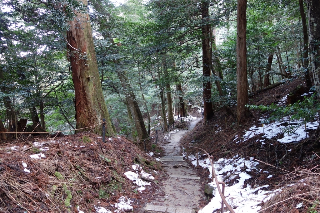 f:id:UrushiUshiru:20190127015850j:plain