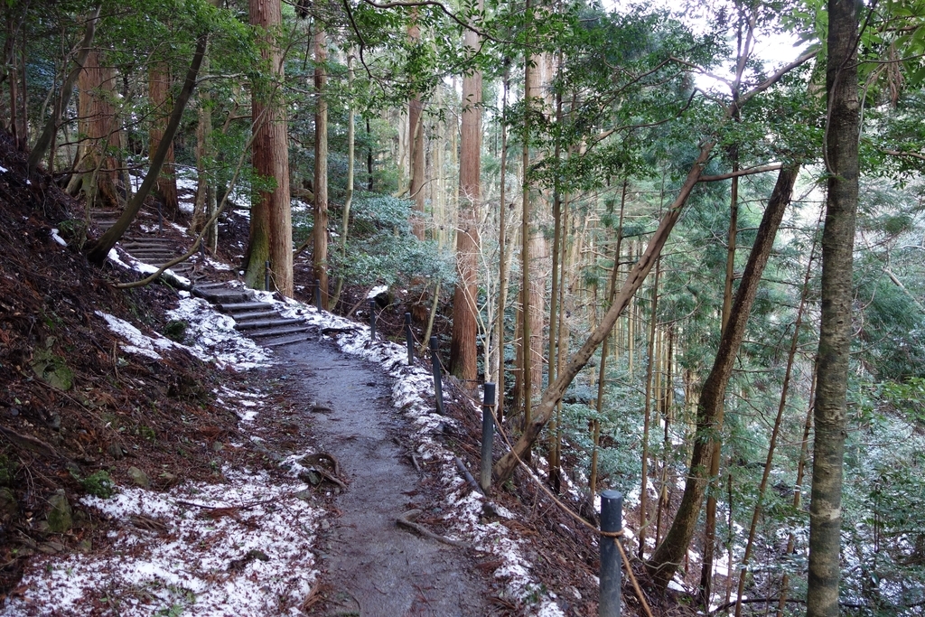 f:id:UrushiUshiru:20190127020108j:plain