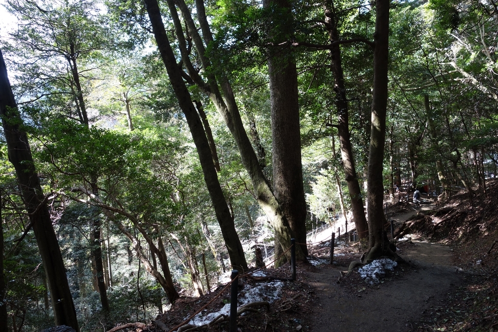 f:id:UrushiUshiru:20190127020259j:plain