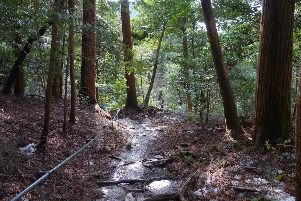 f:id:UrushiUshiru:20190127020424j:plain