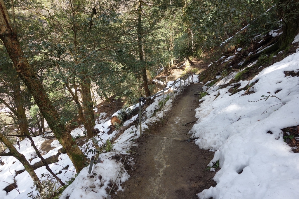 f:id:UrushiUshiru:20190127021412j:plain