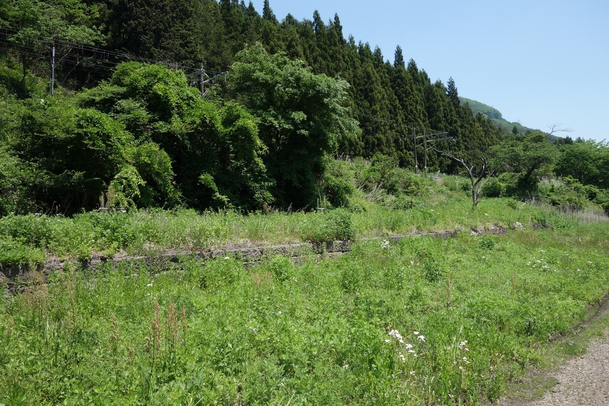 f:id:UrushiUshiru:20190601024444j:plain