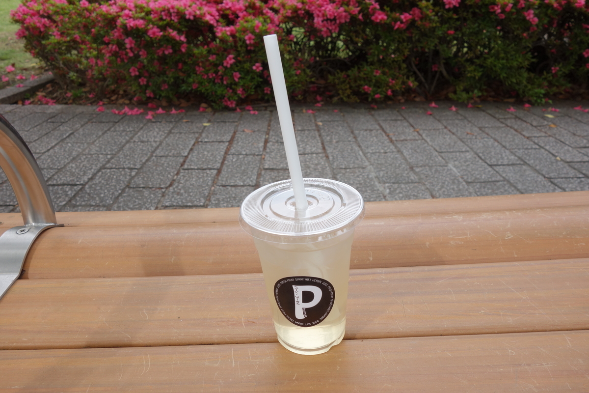 f:id:UrushiUshiru:20190610002858j:plain