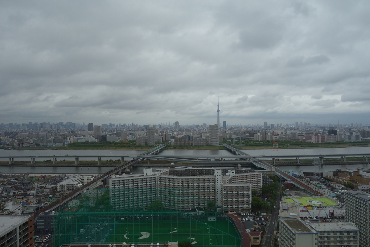 f:id:UrushiUshiru:20190723041950j:plain f:id:UrushiUshiru:20190723041950j:plain
