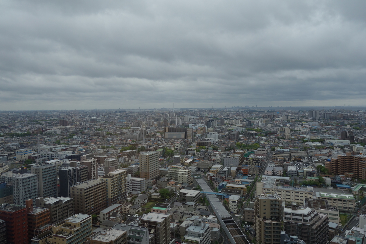 f:id:UrushiUshiru:20190723043034j:plain f:id:UrushiUshiru:20190723043034j:plain