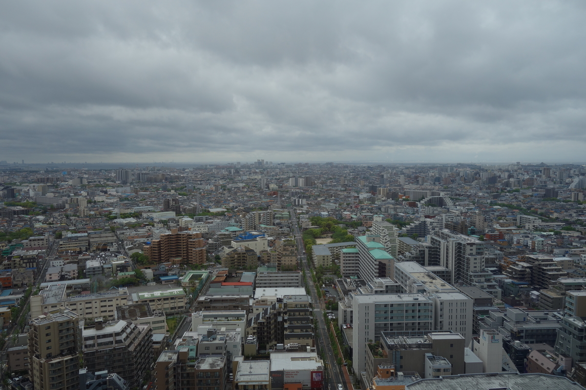 f:id:UrushiUshiru:20190723043314j:plain f:id:UrushiUshiru:20190723043314j:plain