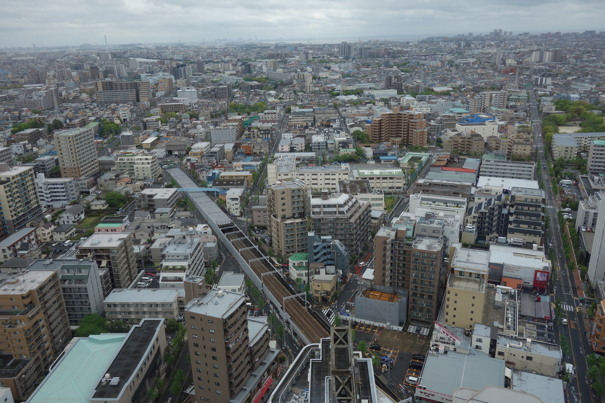 f:id:UrushiUshiru:20190725114514j:plain f:id:UrushiUshiru:20190725114514j:plain